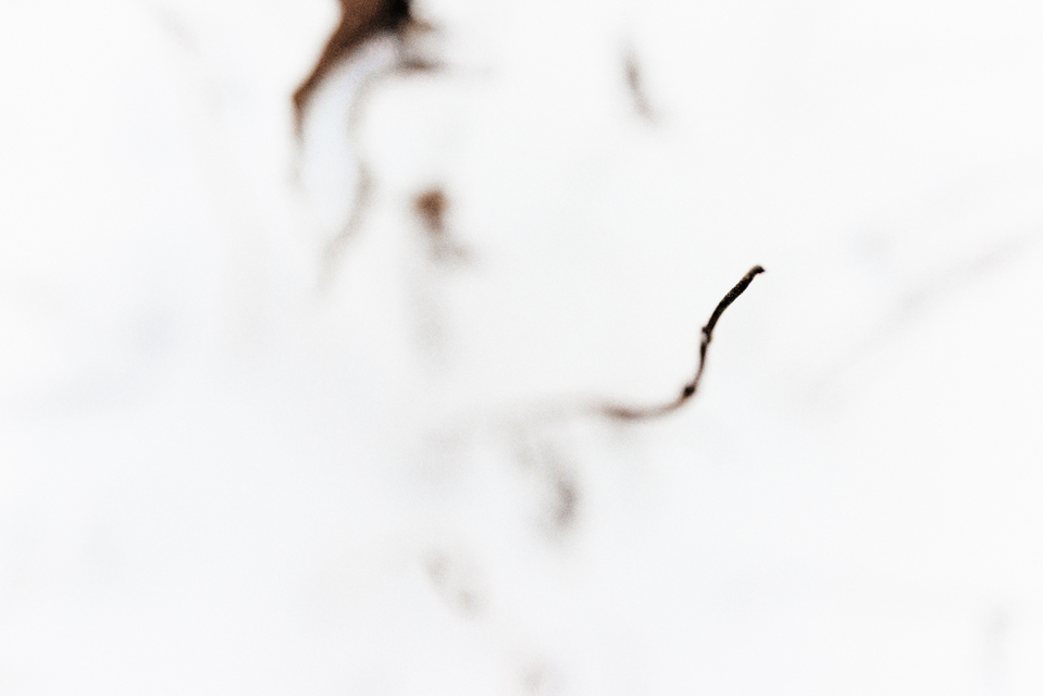 Out of White II - ID 003220