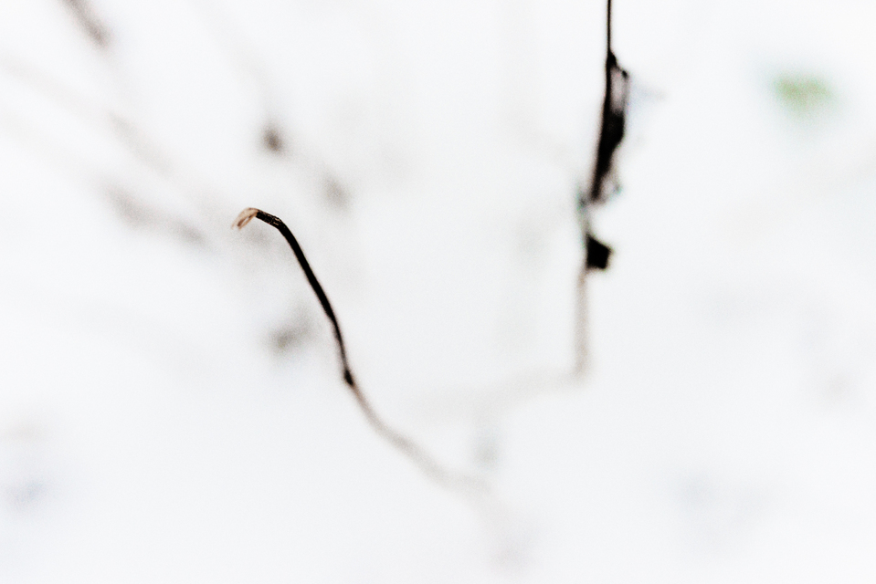 Out of White III - ID 003221