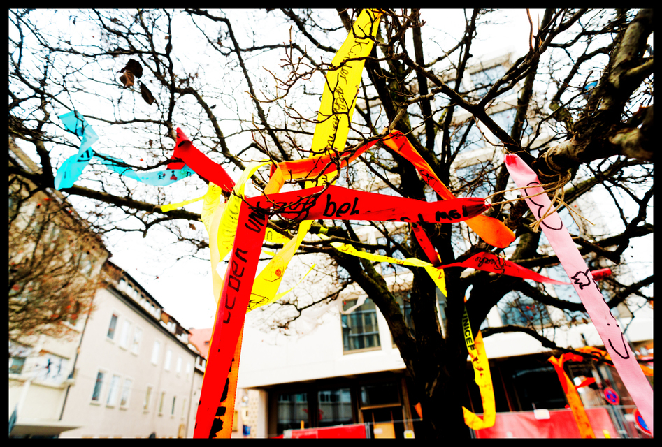 Ribbons in the Tree III - ID 003227