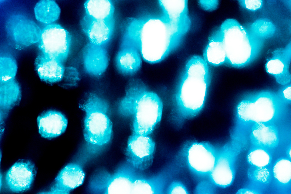 Blue Glass II - ID 003255