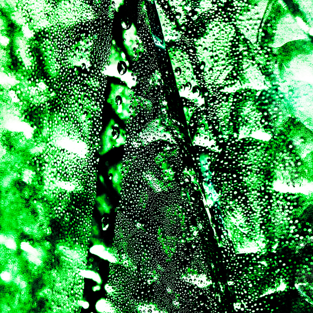 Green Glass II - ID 003262