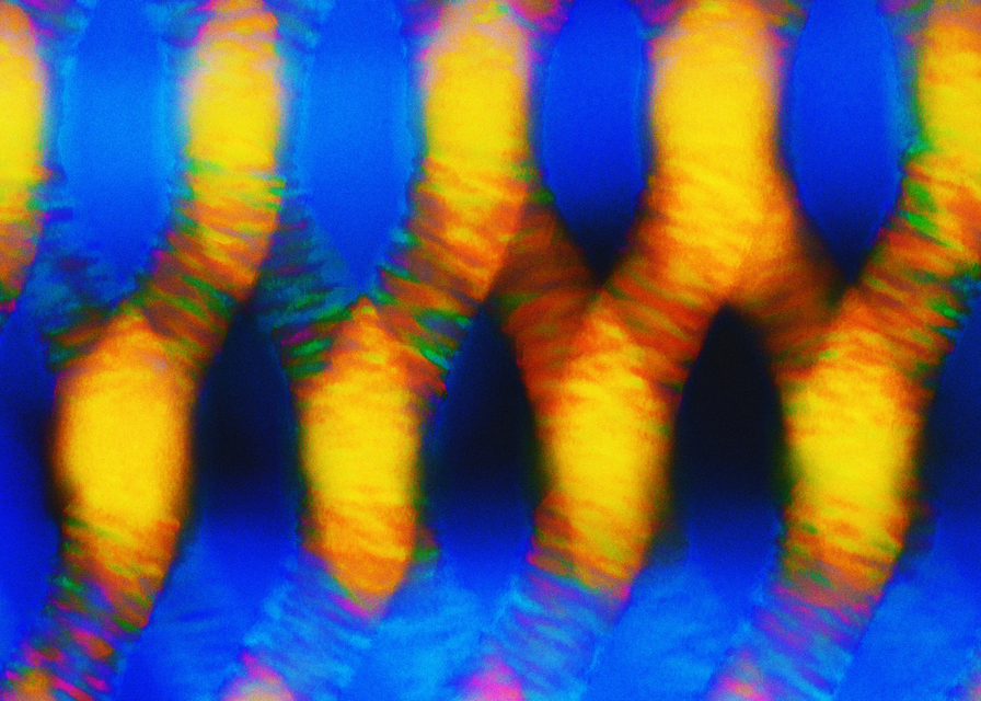 Abstract Net - ID 003267