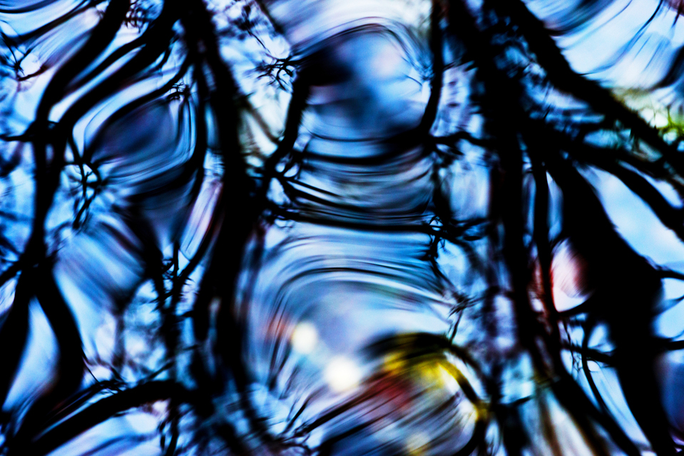 Water Refections I - ID 003290