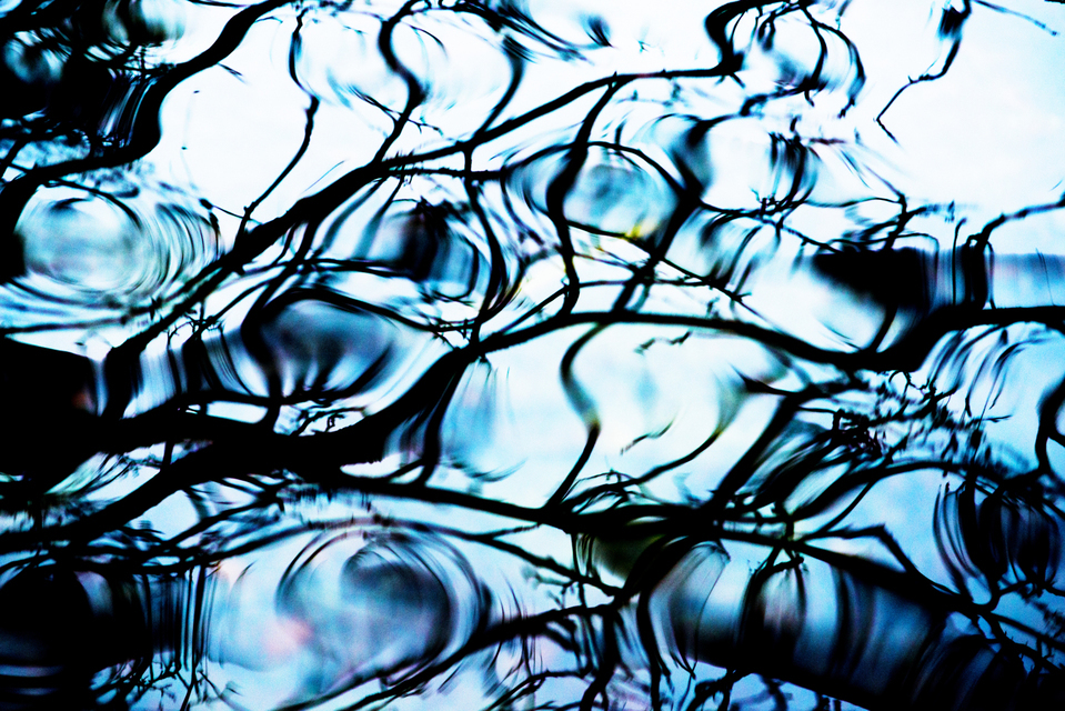 Water Refections IV - ID 003293