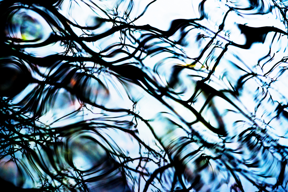 Water Refections V - ID 003294