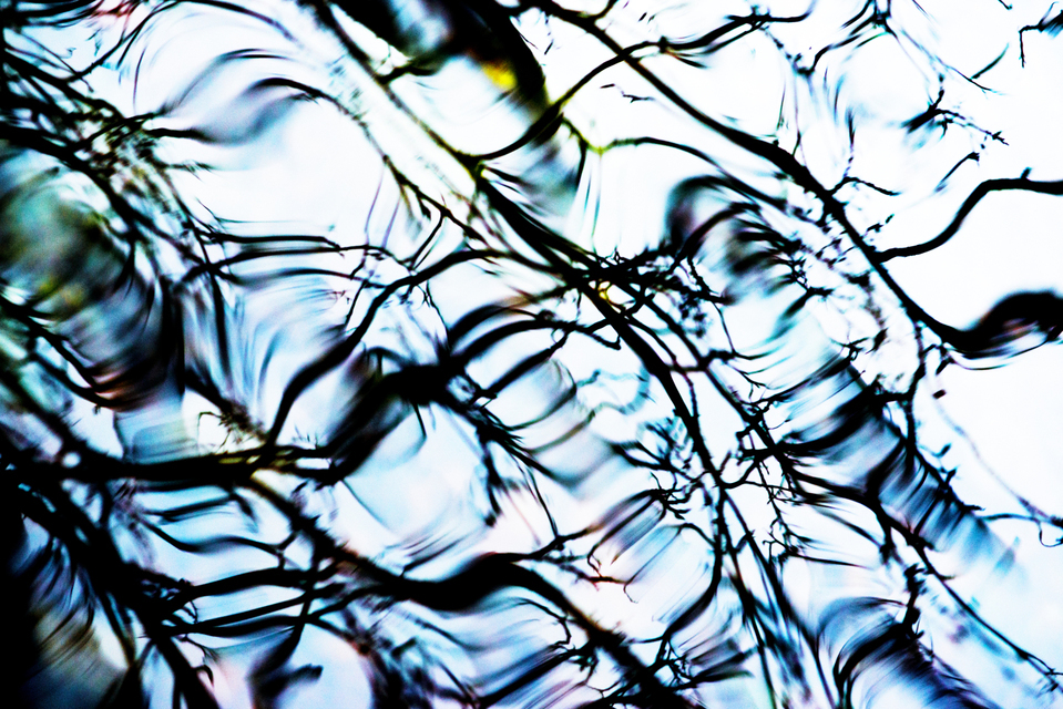 Water Refections VI - ID 003295
