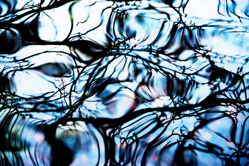 Water Refections VII - ID 003296