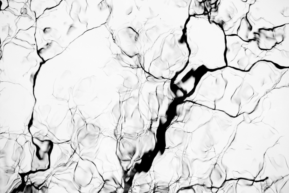 Traces on Water I - ID 003298