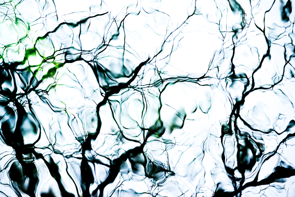 Traces on Water IV - ID 003301