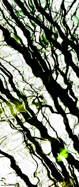 Water Impression XIX - ID 003321