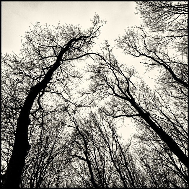 Iller Sky I - ID 003362