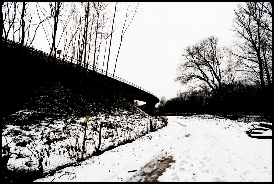 Winter Grey I - ID 003367