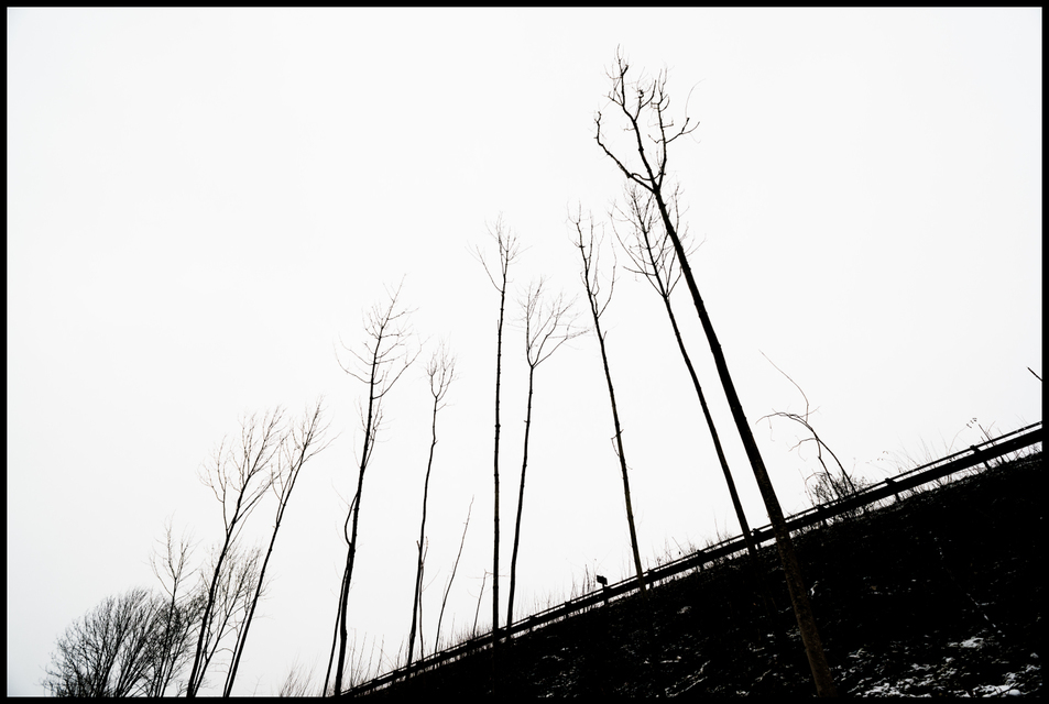 Winter Grey II - ID 003368