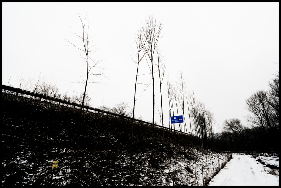 Winter Grey III - ID 003369