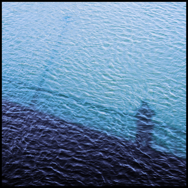 Man and Danube I - ID 003407