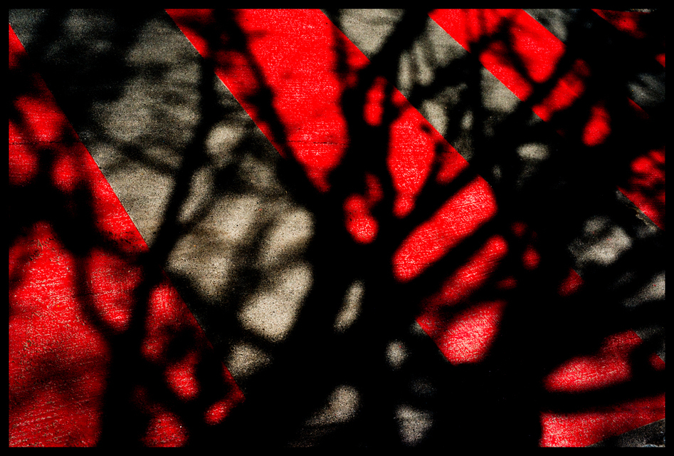 Shadow on Red I - ID 003450