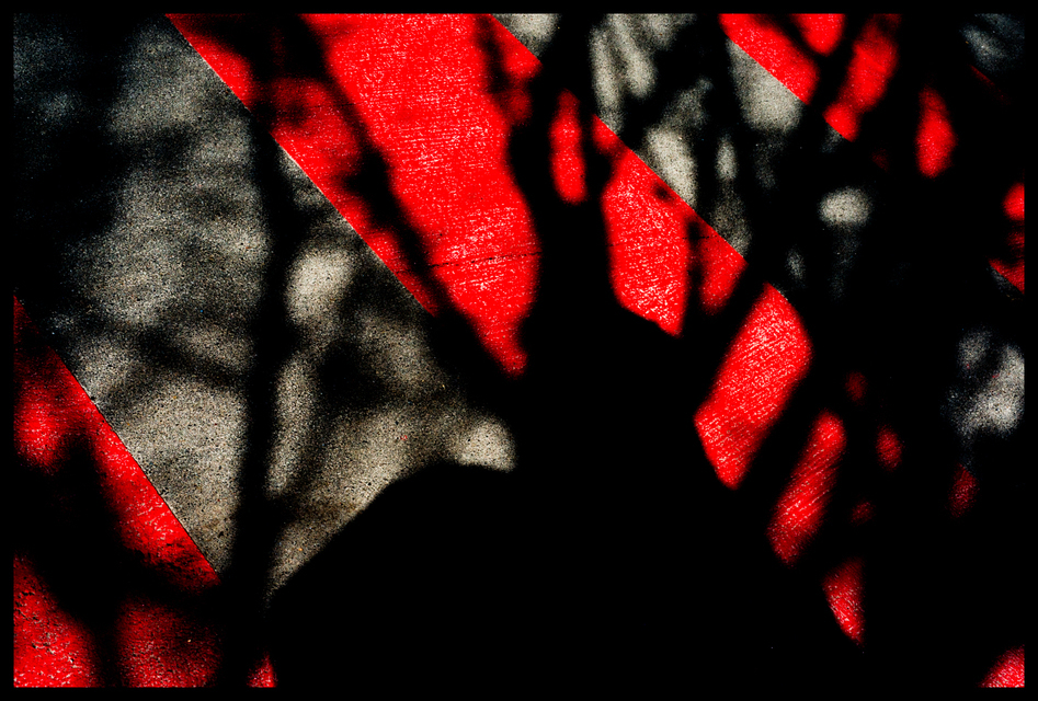 Shadow on Red III - ID 003452