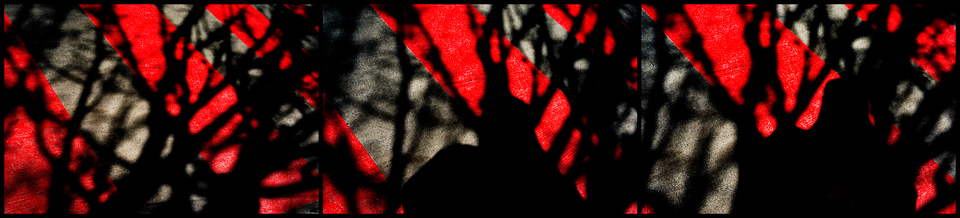 Shadow on Red - ID 003453