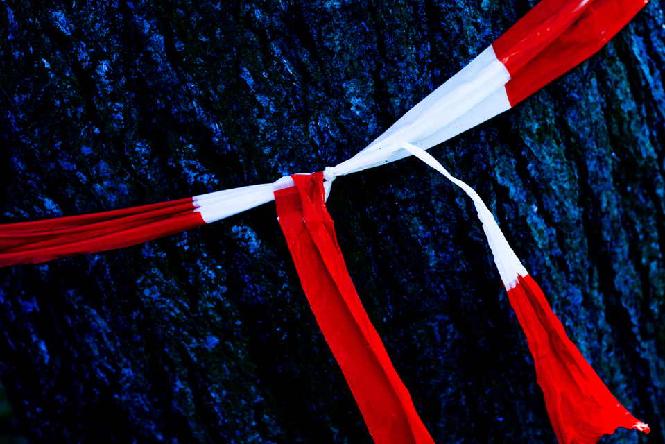 Red White Blue - ID 003455