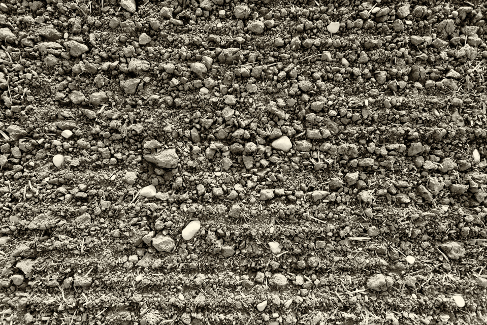 Stone Field - ID 003459