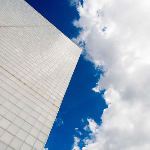 Order and Chaos - ID 003481