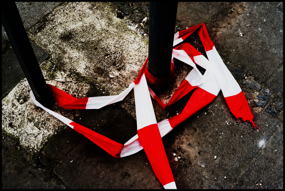 Ribbon I - ID 003482