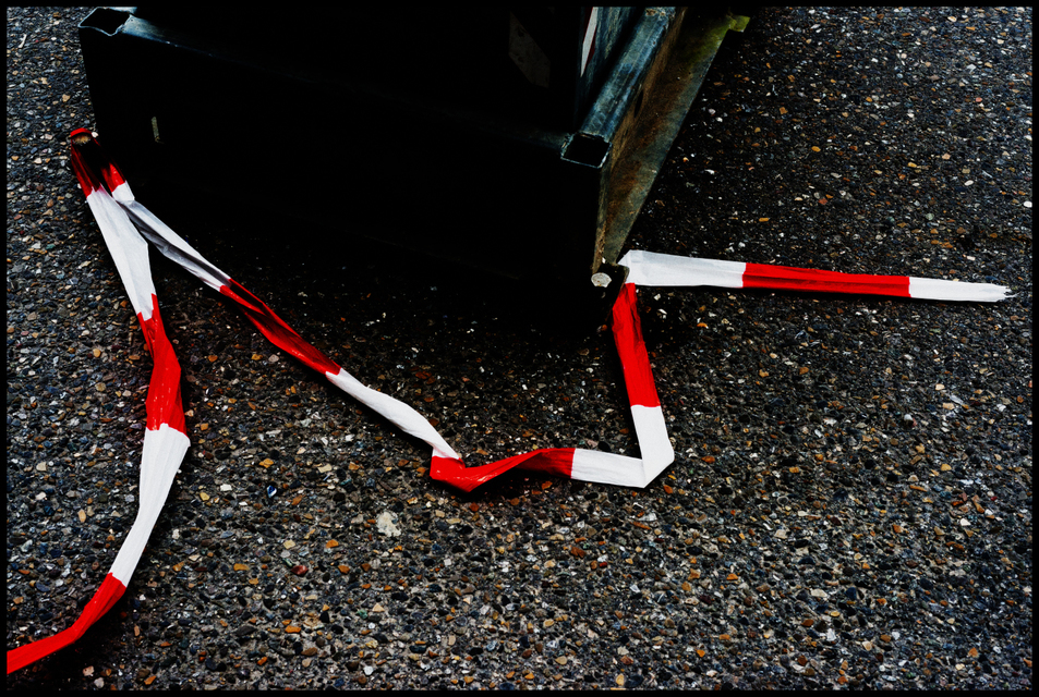 Ribbon III - ID 003484