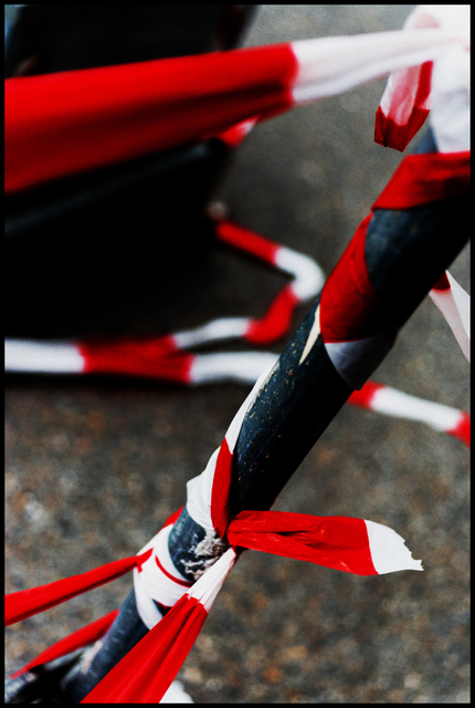 Ribbon IV - ID 003485