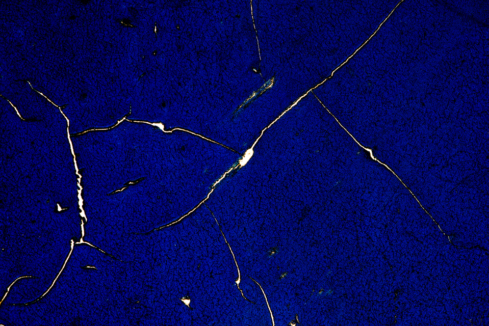 Red and Blue I - ID 003500