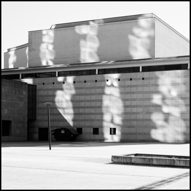 Shadow Dancer - ID 003525