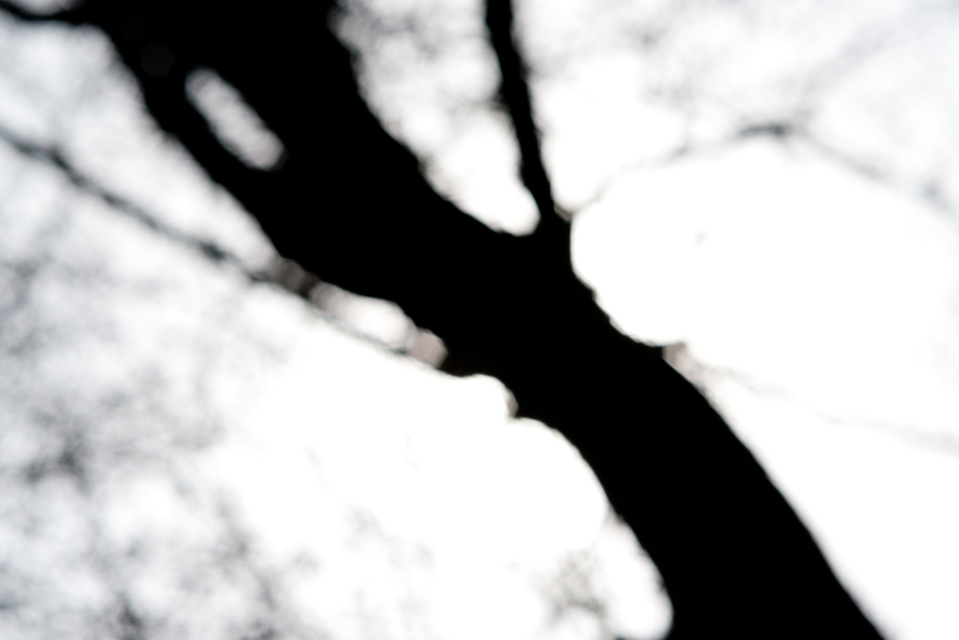 Out of Focus I - ID 003532