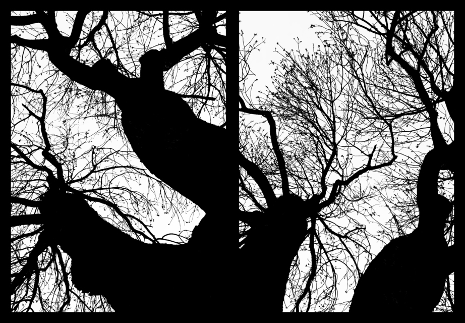 Pictures of a Witch - ID 003538