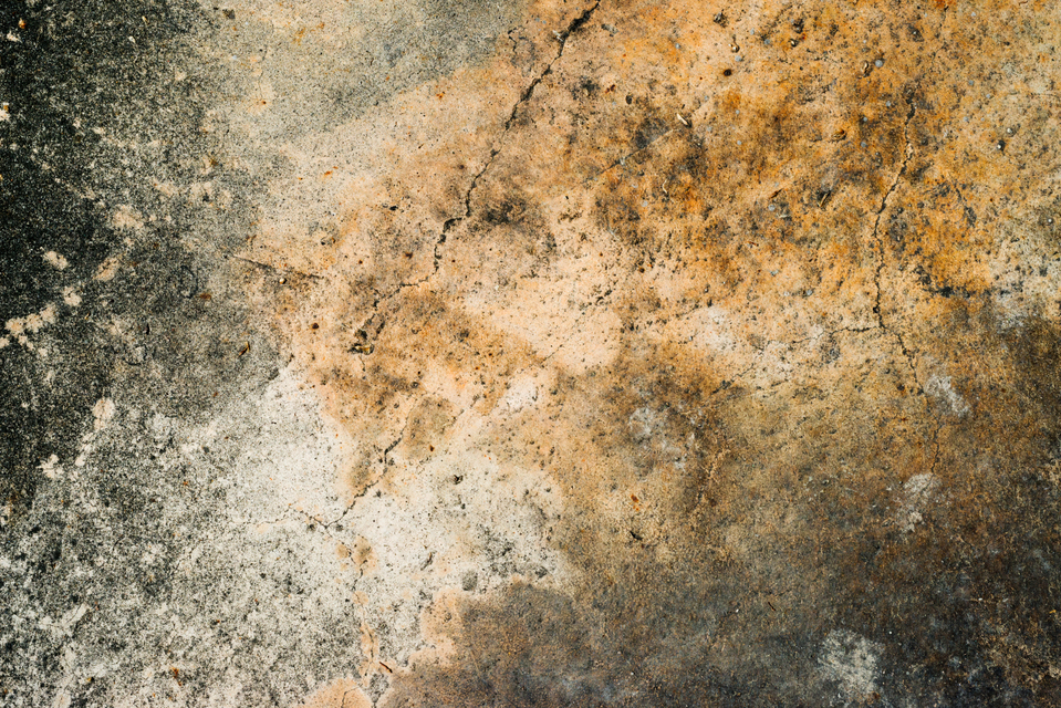 Ground Colors I - ID 003561