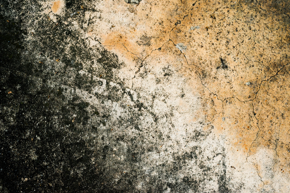 Ground Colors II - ID 003562