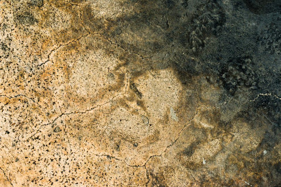 Ground Colors III - ID 003563