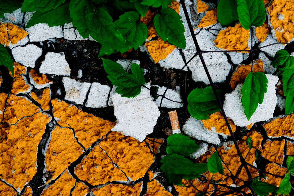 Broken Orange Front IV - ID 003607