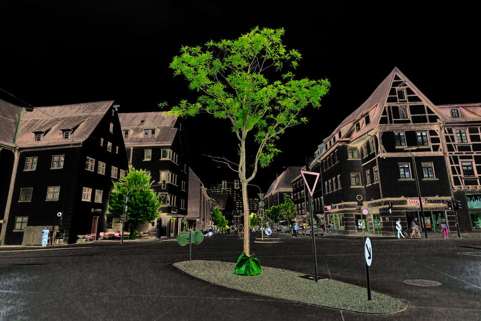 Green Tree on Black - ID 003617