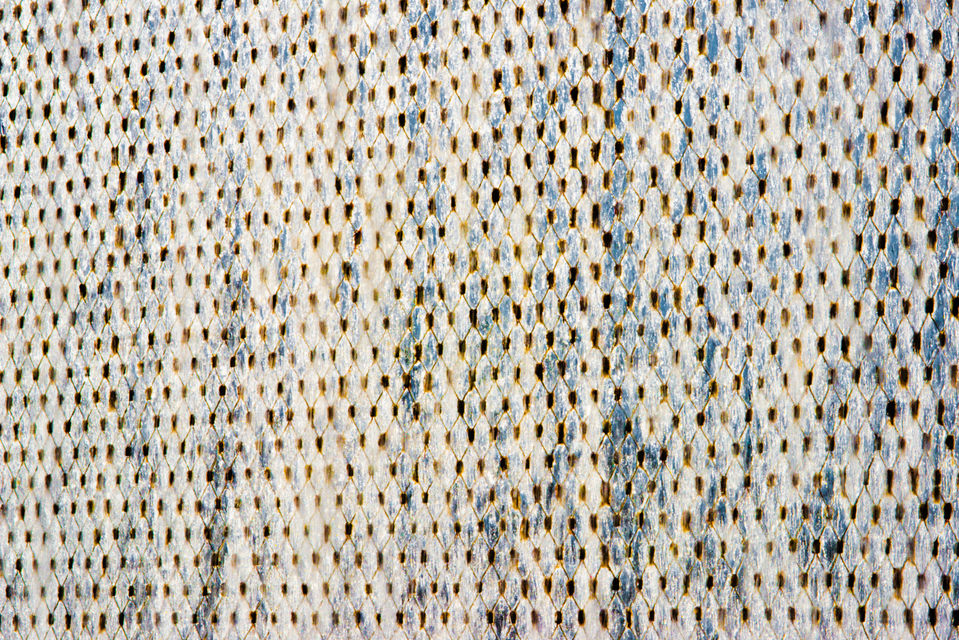 Water Net - ID 003637