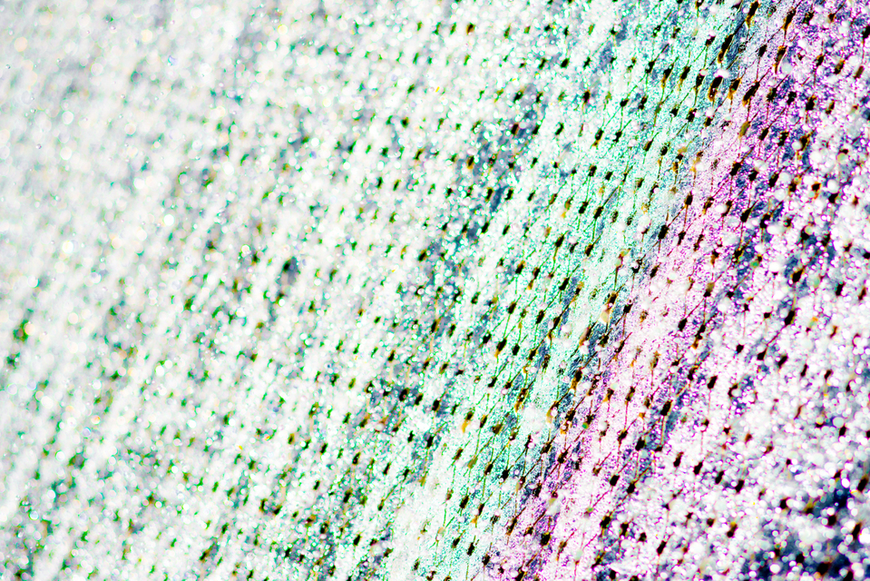 Water Color II - ID 003639