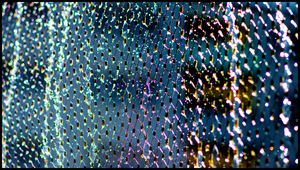 Water Color IV - ID 003641