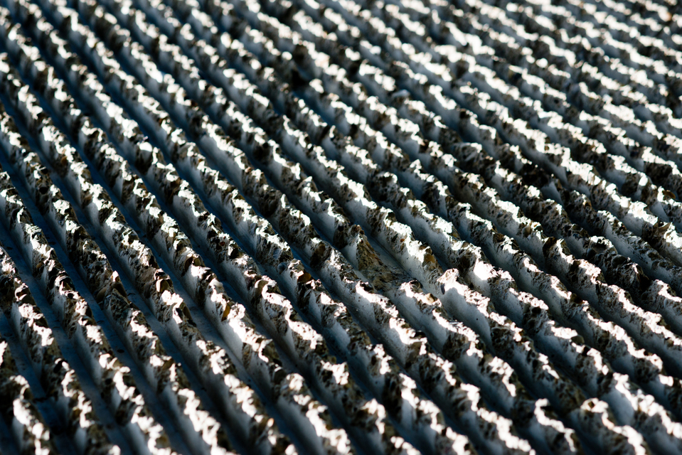 Rough Surface IV - ID 003674