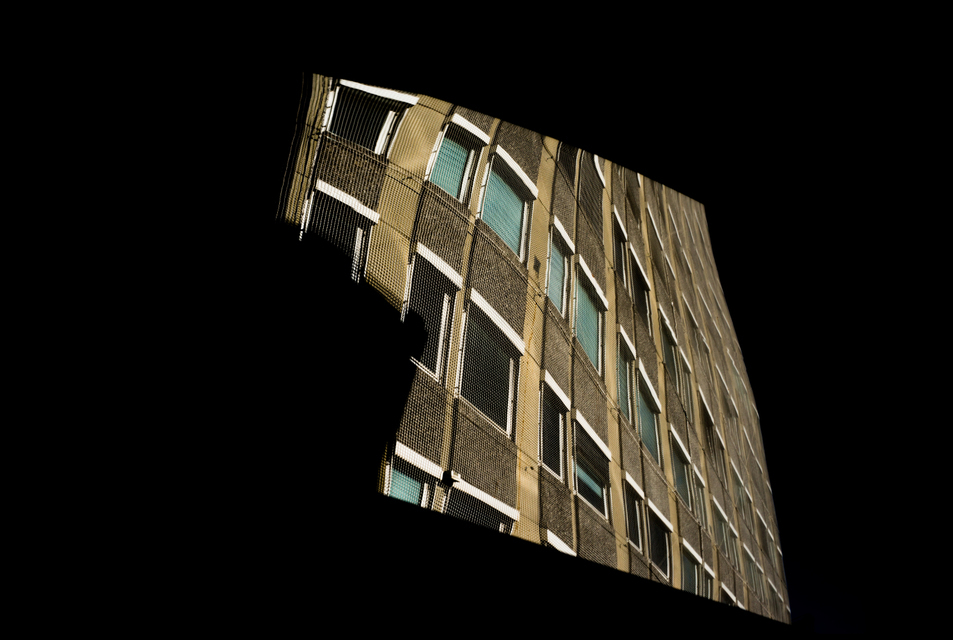 In the Net I - ID 003684