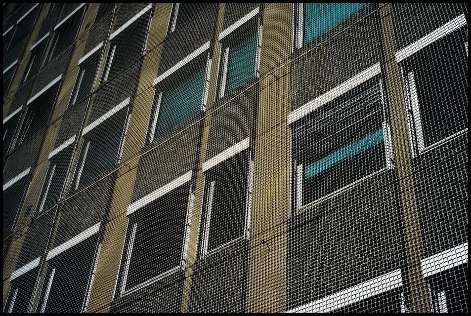 In the Net II - ID 003685