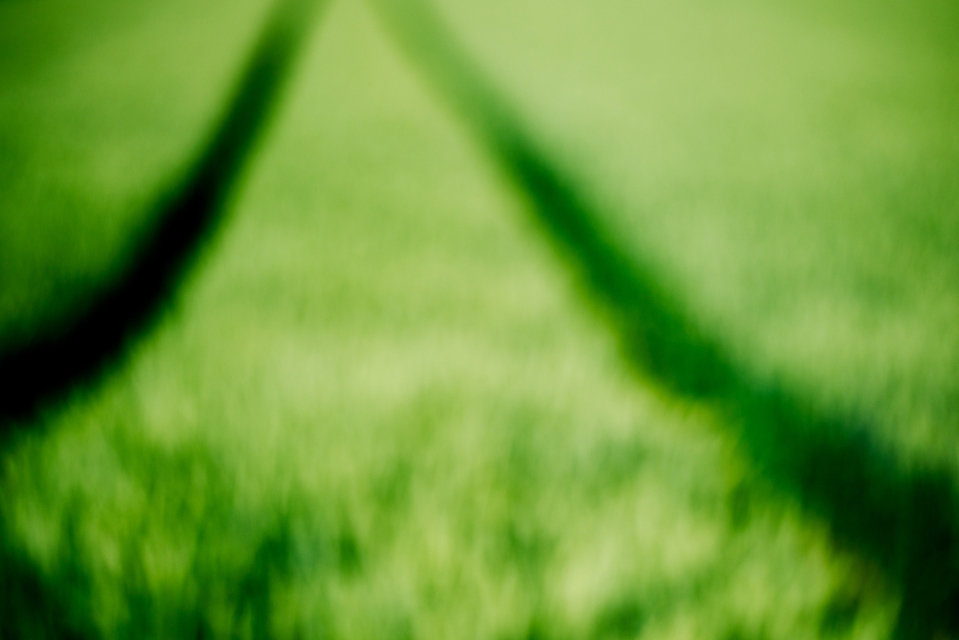 Farming I - ID 003709