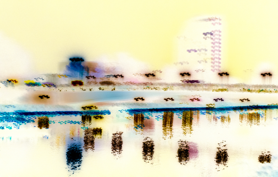 Bright Night Dark Lights - ID 003771