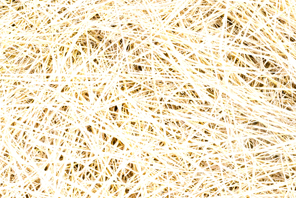 Straw in Sunlight - ID 003772