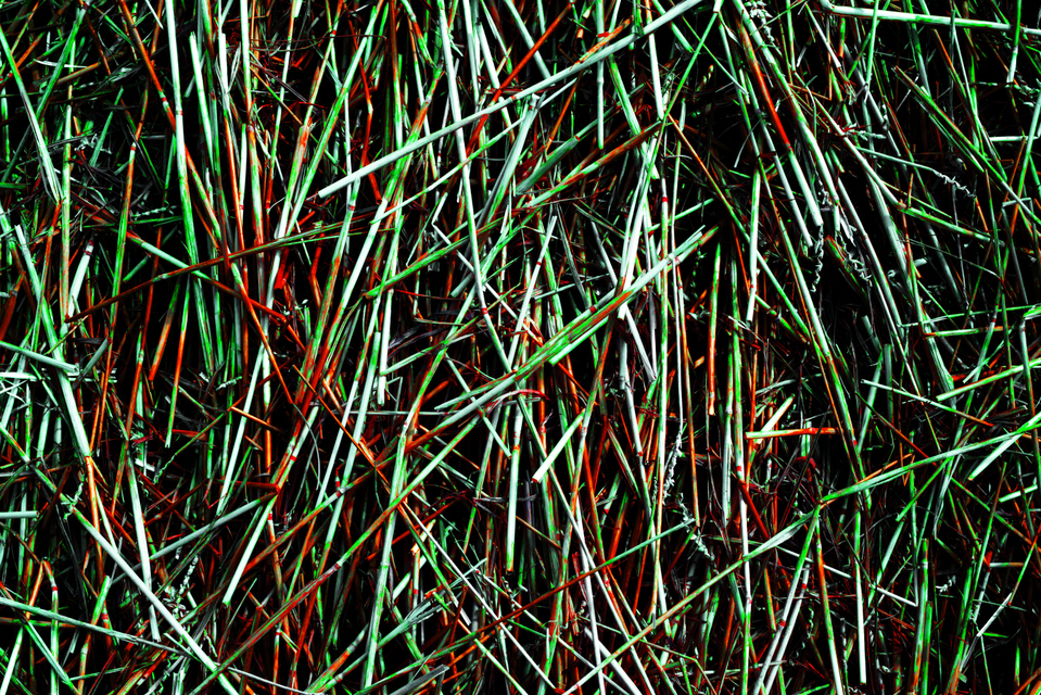 Colored Staw - ID 003773