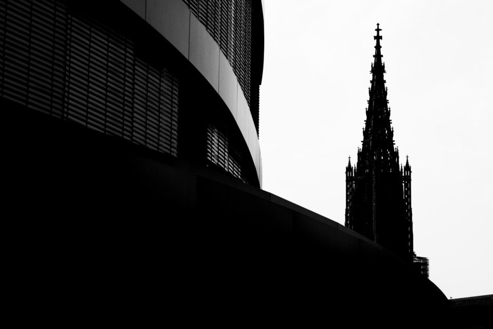 Shadow of the New - ID 003821