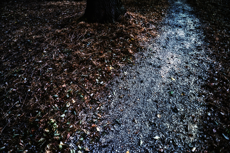 Ground Lookup - ID 003833