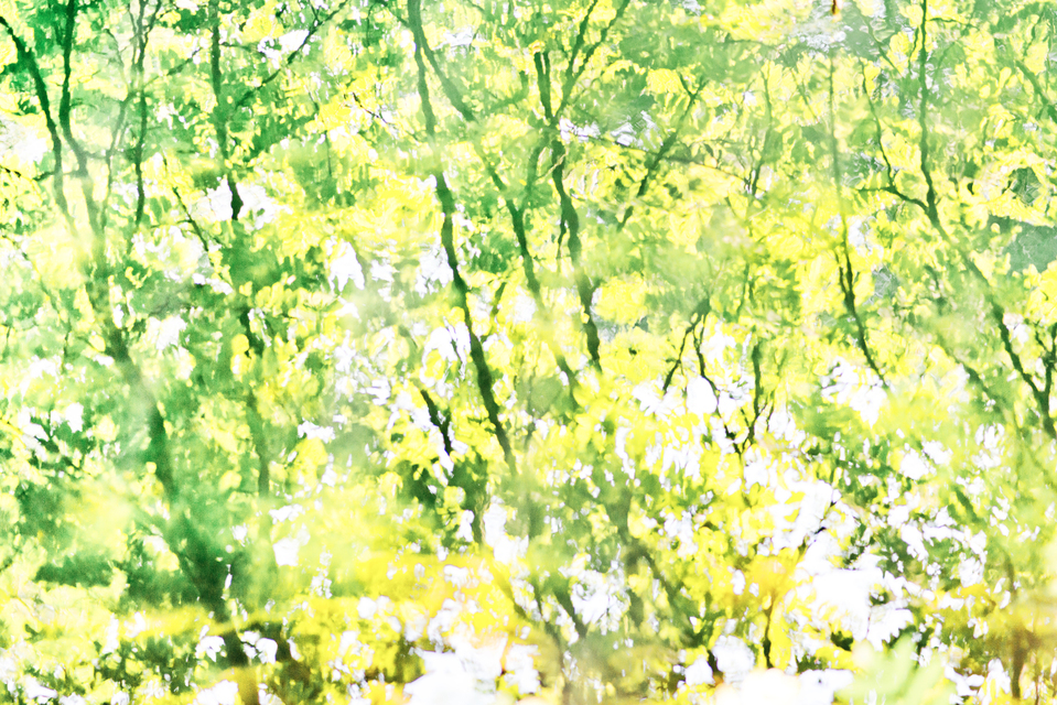 Watercolor Branches I - ID 003852